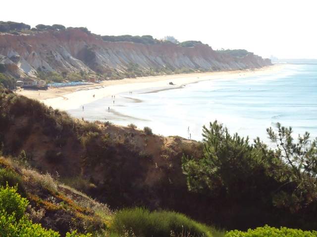ai44.servimg.com_u_f44_12_64_94_73_dsc01210.jpg