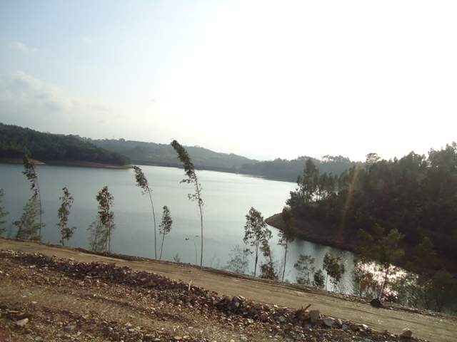 ai44.servimg.com_u_f44_12_64_94_73_dsc01521.jpg