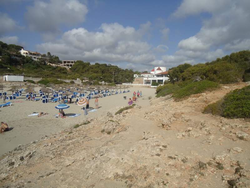 ai44.servimg.com_u_f44_12_64_94_73_dsc02310.jpg