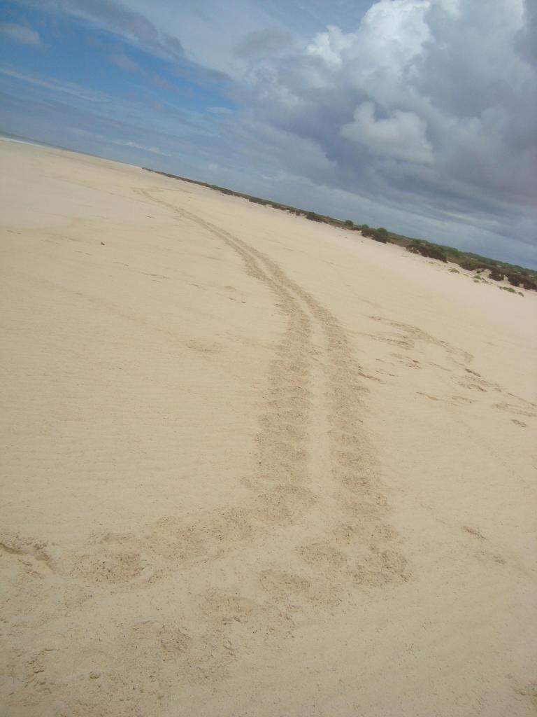ai45.photobucket.com_albums_f89_marianamarques_5_DSC00137_zps33e0e9b6.jpg