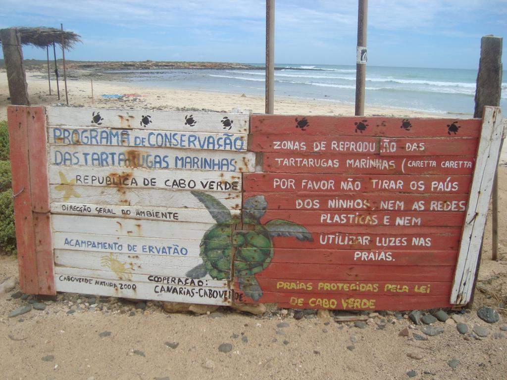 ai45.photobucket.com_albums_f89_marianamarques_5_DSC00206_zps54aac83d.jpg