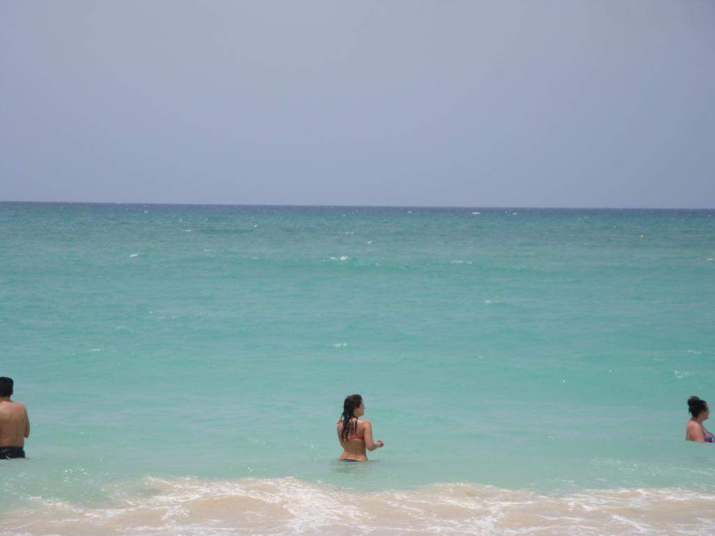 ai45.photobucket.com_albums_f89_marianamarques_5_DSC04141_zpsd798cea4.jpg