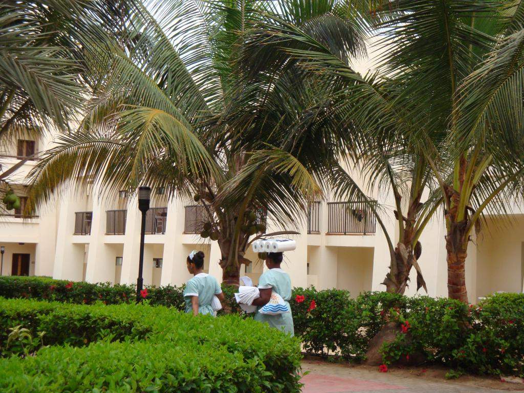 ai45.photobucket.com_albums_f89_marianamarques_5_DSC04201_zpsa79d2bc5.jpg