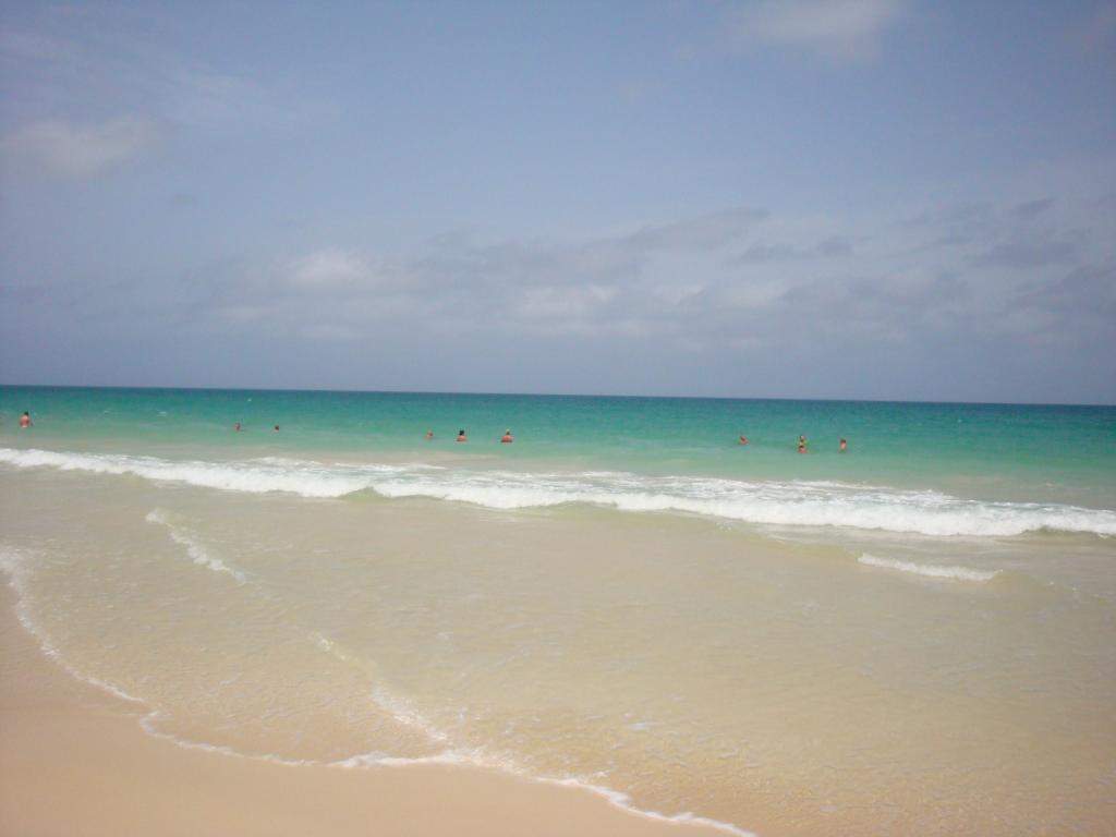 ai45.photobucket.com_albums_f89_marianamarques_5_DSC04269_zpsed3fb19a.jpg