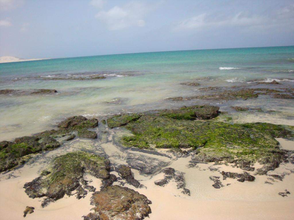 ai45.photobucket.com_albums_f89_marianamarques_5_DSC04284_zpseafb5d48.jpg