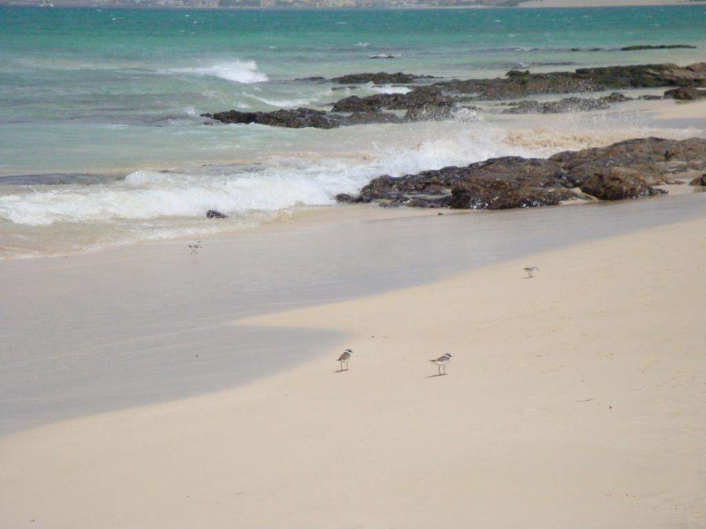 ai45.photobucket.com_albums_f89_marianamarques_5_DSC04285_zps36577b2c.jpg
