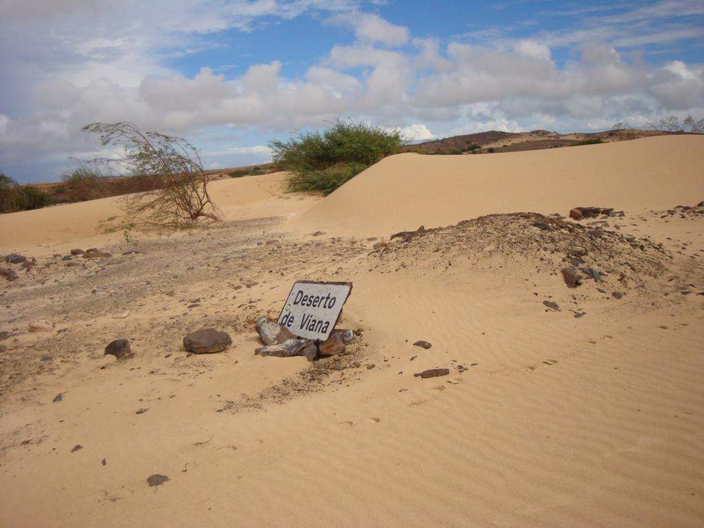 ai45.photobucket.com_albums_f89_marianamarques_5_DSC04322_zps4eddd194.jpg