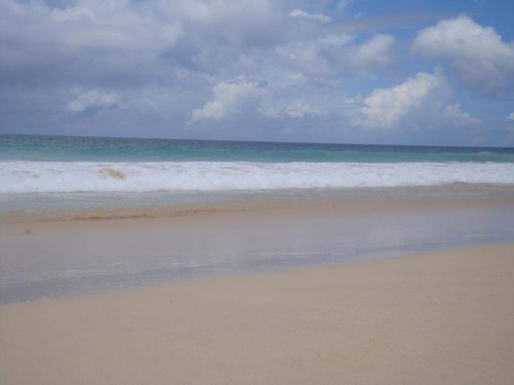 ai45.photobucket.com_albums_f89_marianamarques_5_DSC04348_zpsd1717416.jpg