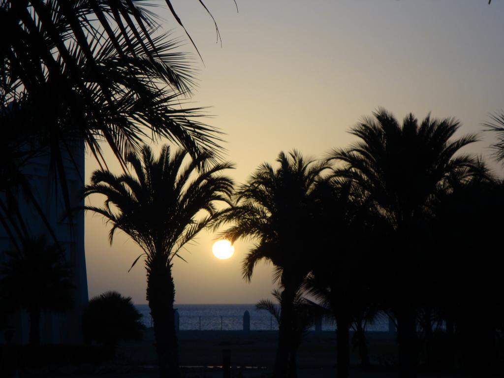 ai45.photobucket.com_albums_f89_marianamarques_5_DSC04633_zps83de847a.jpg