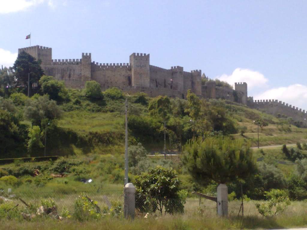 ai467.photobucket.com_albums_rr37__Cats___Castelomontemorvelho11052008748.jpg