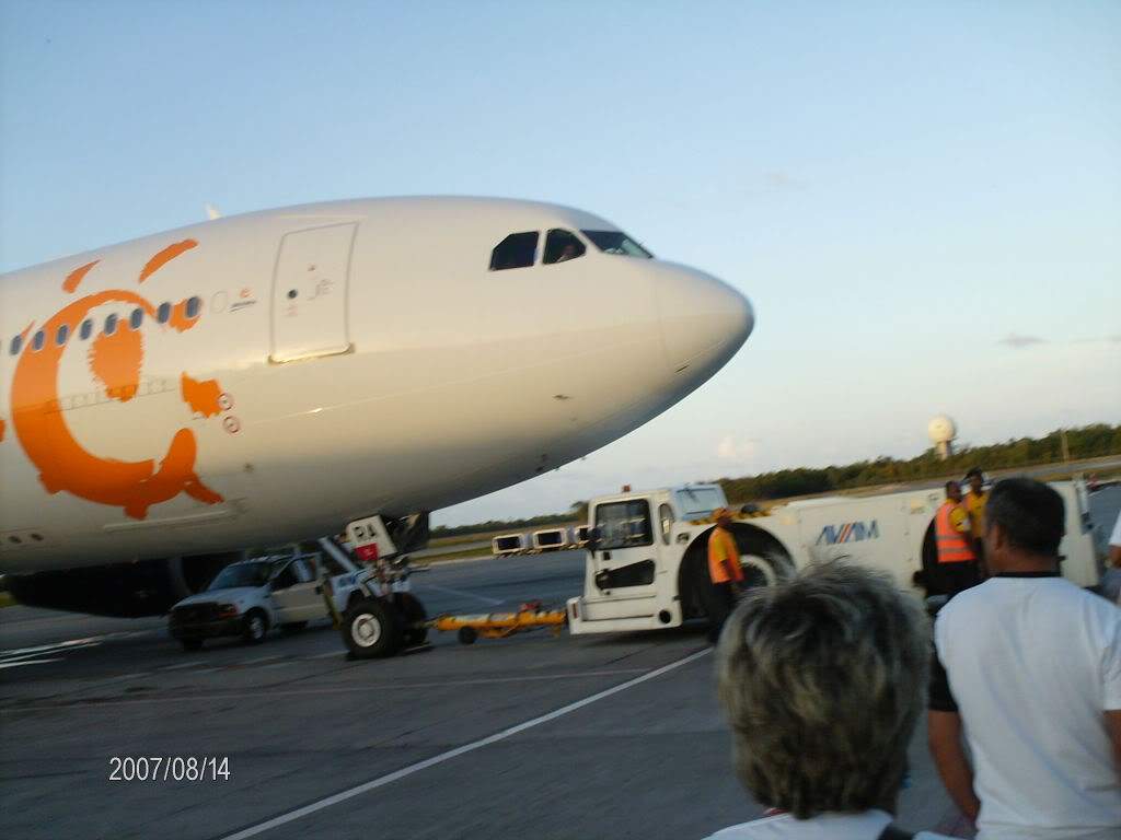 ai467.photobucket.com_albums_rr37__Cats___RepulicaDominicana2007216.jpg
