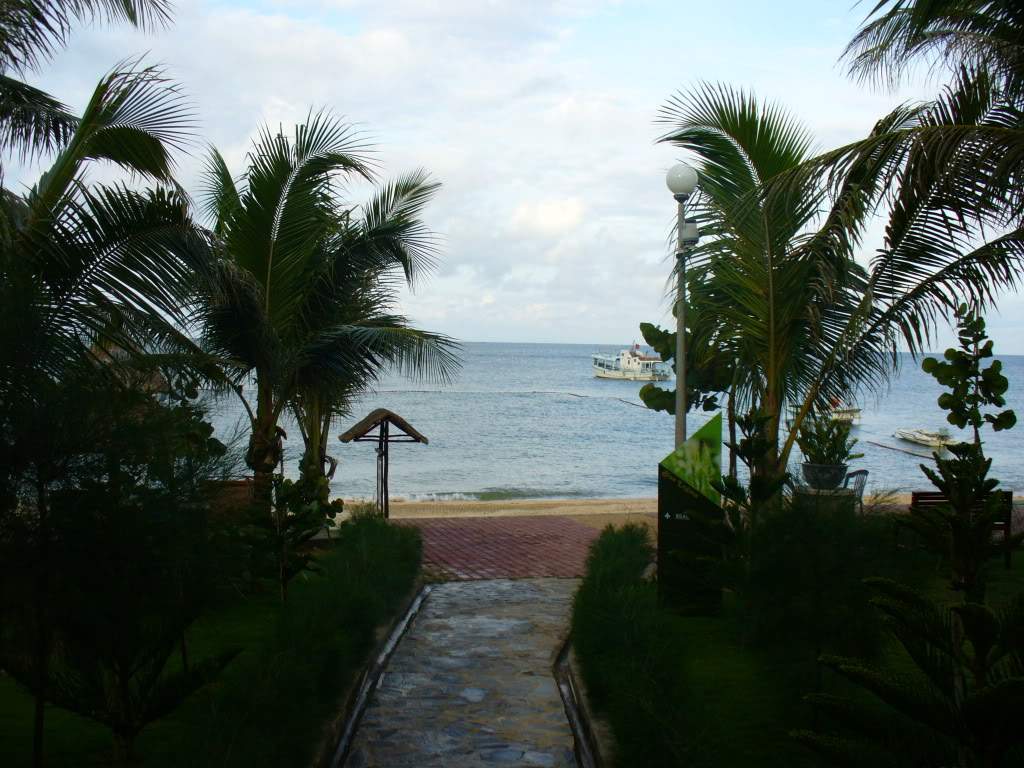 ai472.photobucket.com_albums_rr87_Yuki07_2008_P1050226_1.jpg
