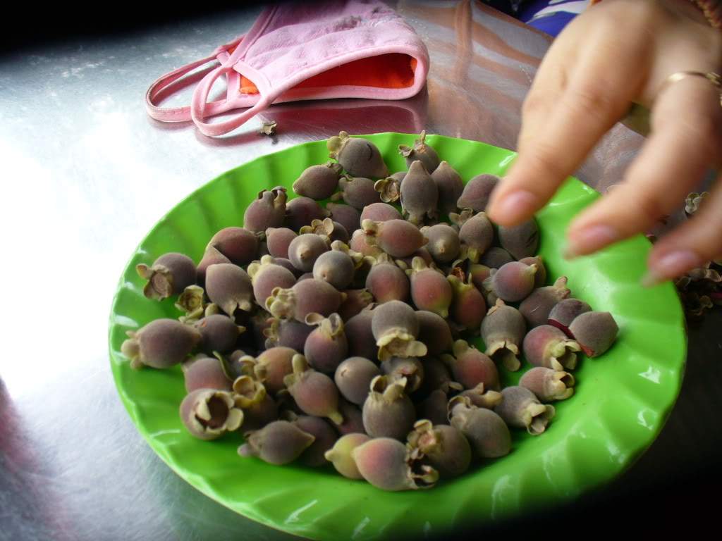 ai472.photobucket.com_albums_rr87_Yuki07_2008_P1050426.jpg