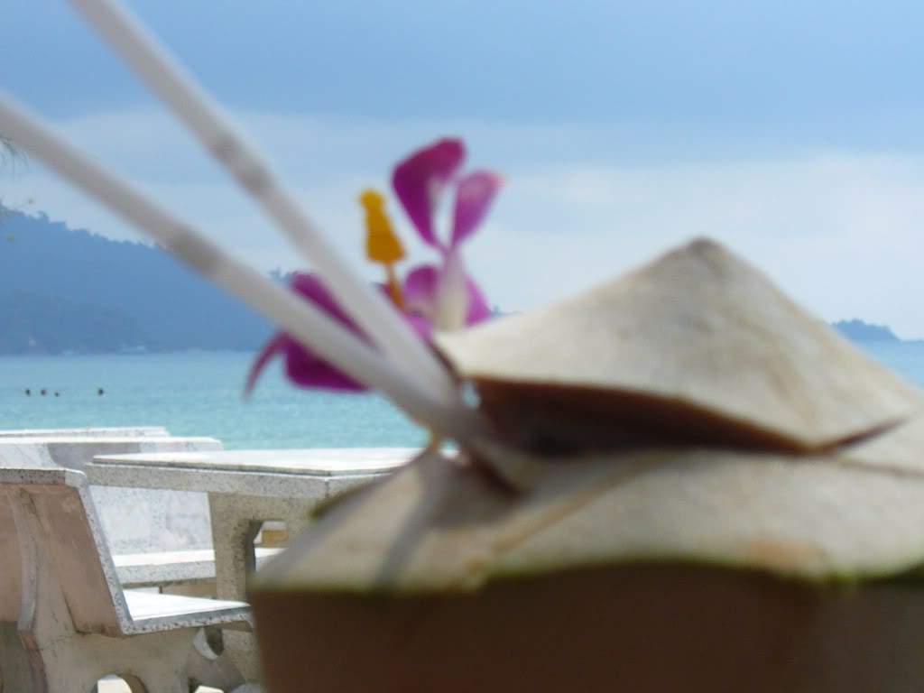 ai472.photobucket.com_albums_rr87_Yuki07_2008_P1050851.jpg