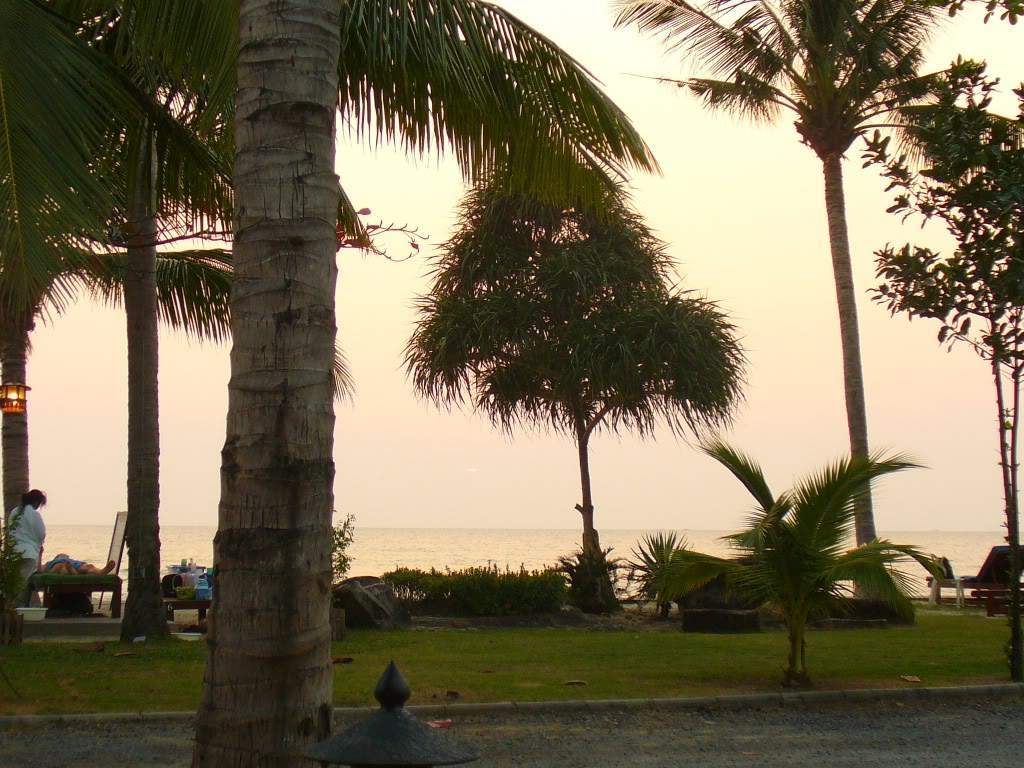 ai472.photobucket.com_albums_rr87_Yuki07_2008_P1050894.jpg