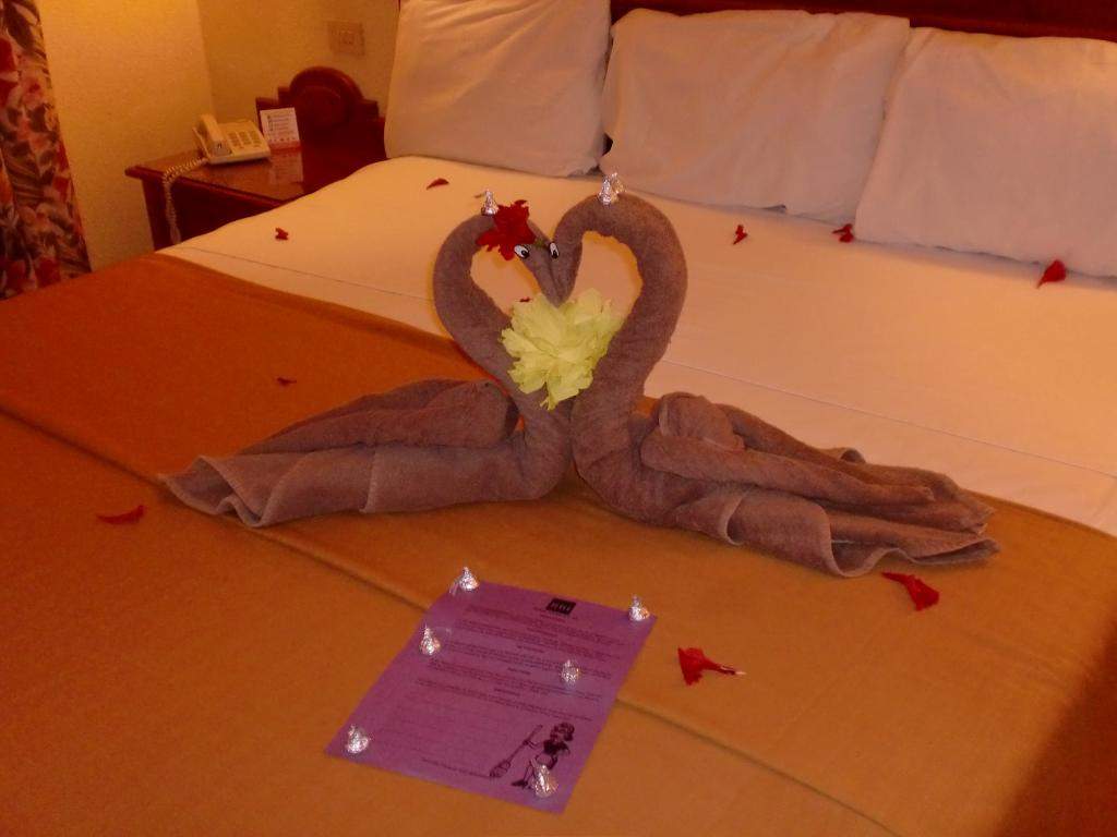 ai498.photobucket.com_albums_rr348_liliana3695_Mexico_202012_212f3998371d356a55b4bef241f143b8d.jpg