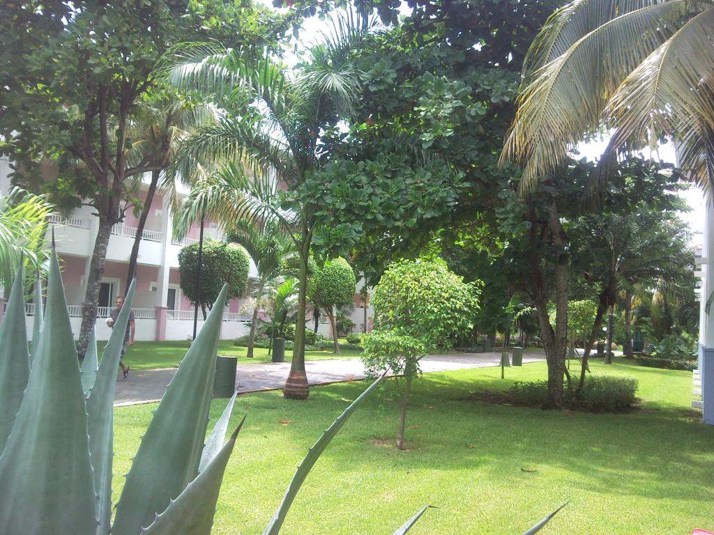 ai498.photobucket.com_albums_rr348_liliana3695_Mexico_202012_236452a9ca1816ba31315bb4fa9a6aecc.jpg