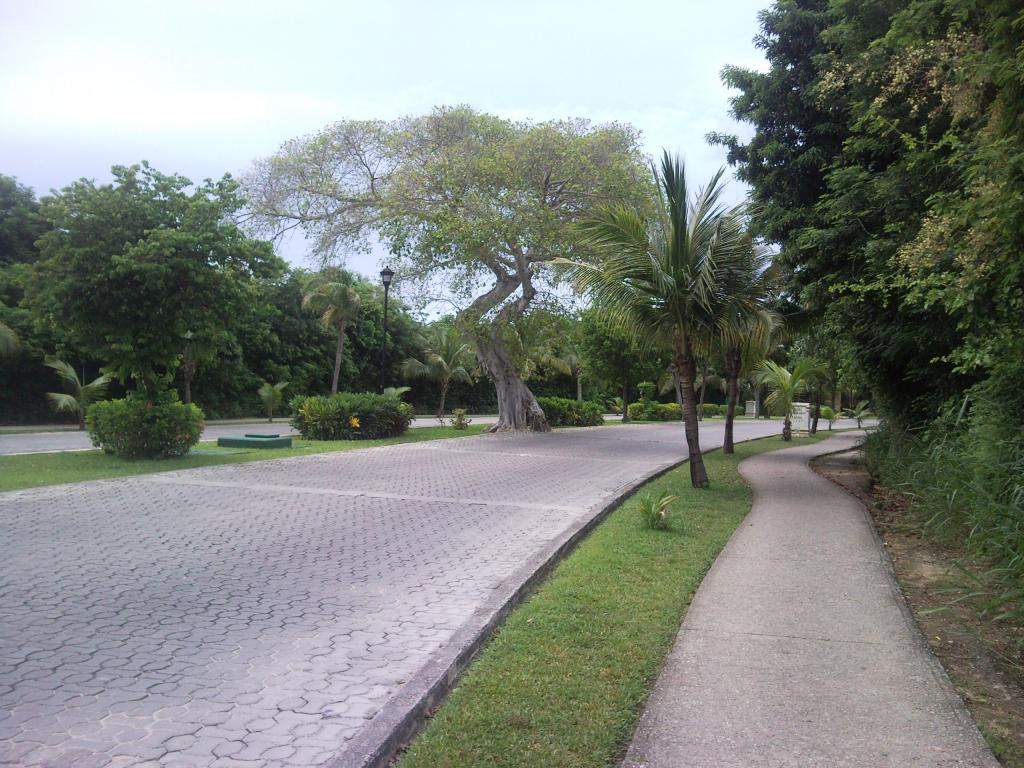 ai498.photobucket.com_albums_rr348_liliana3695_Mexico_202012_2622ca92284056771c807e494c282bf46.jpg