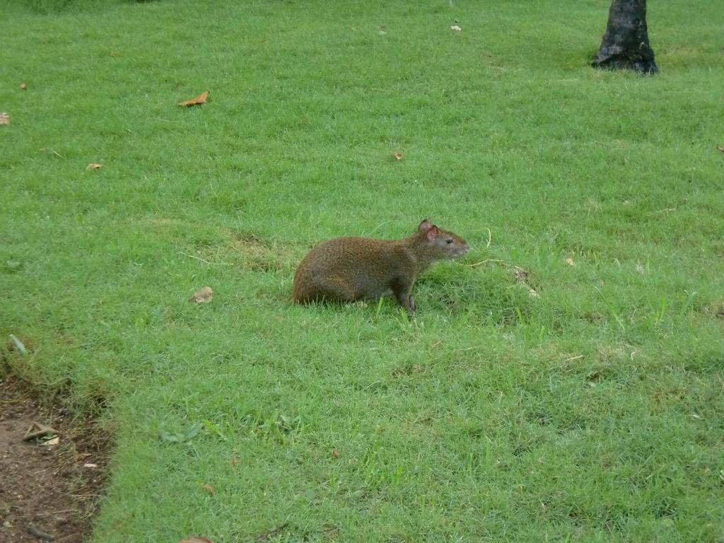 ai498.photobucket.com_albums_rr348_liliana3695_Mexico_202012_26dab884f62df831901f9637de3c5aa9f.jpg