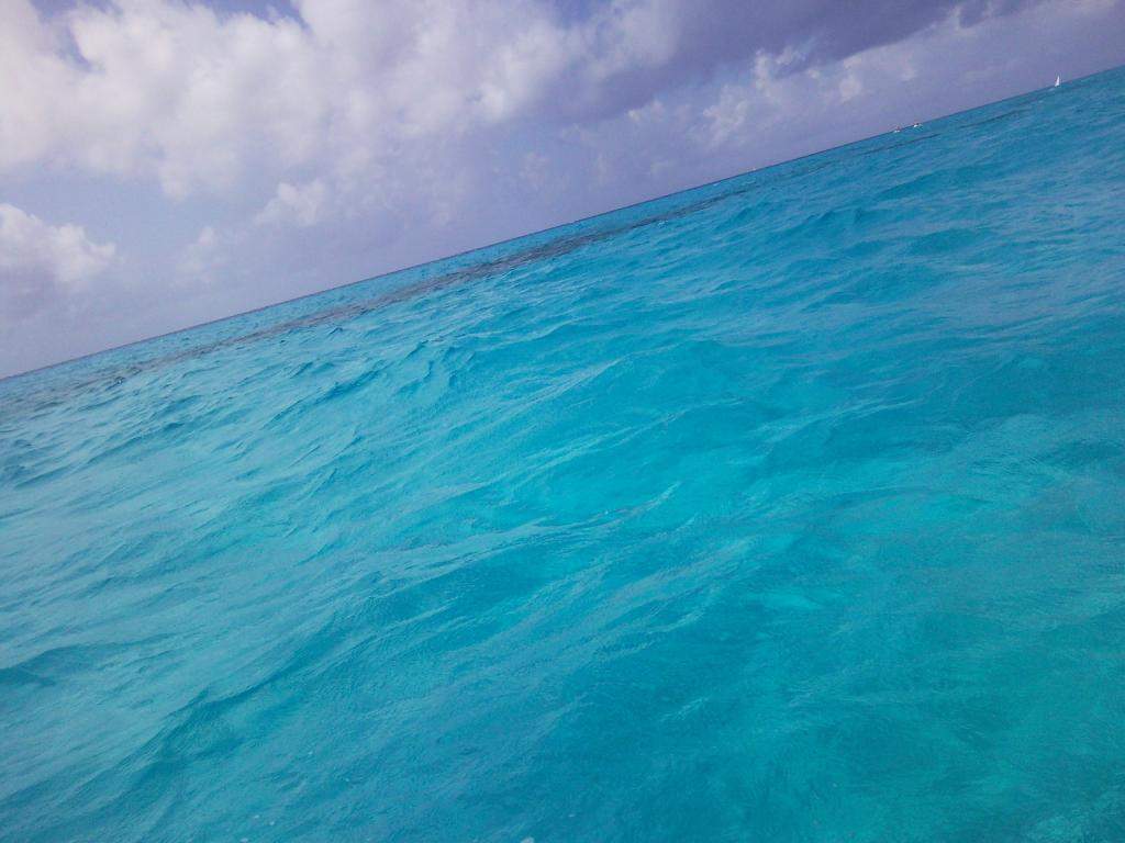 ai498.photobucket.com_albums_rr348_liliana3695_Mexico_202012_2a377eac40edadd8c1f599b615c8c5aed.jpg