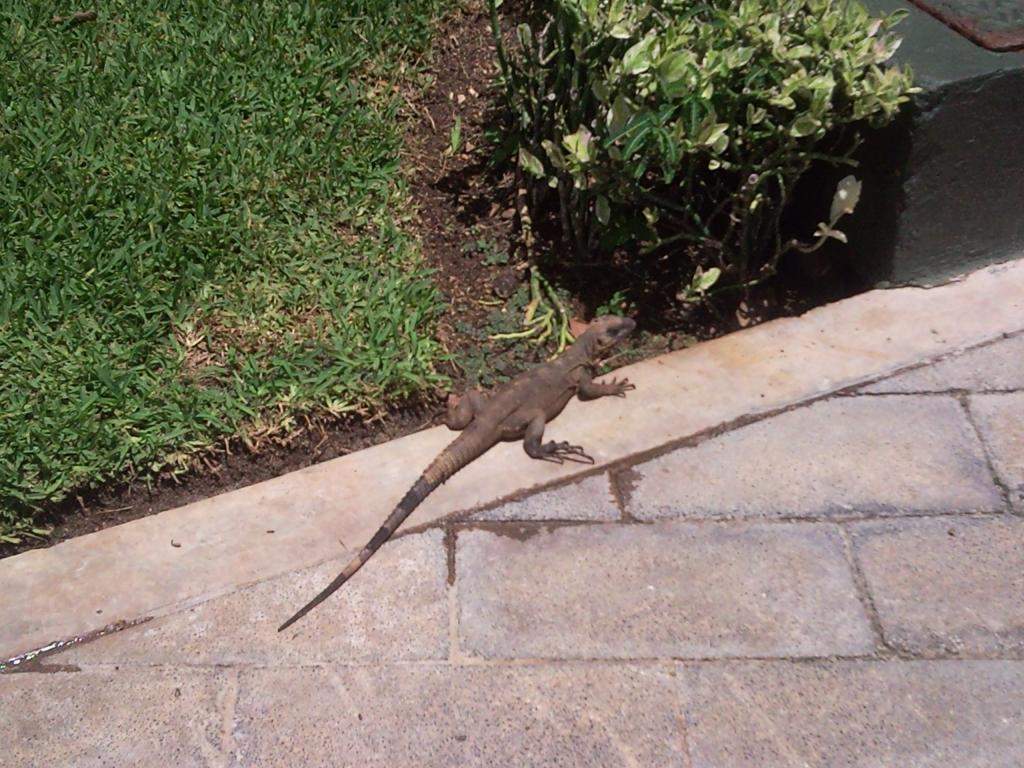 ai498.photobucket.com_albums_rr348_liliana3695_Mexico_202012_2dd43d99477e513005f4f83abc1f66fe7.jpg