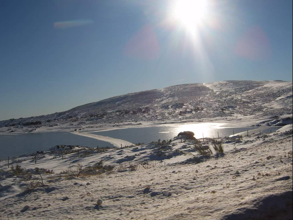 ai498.photobucket.com_albums_rr348_liliana3695_Serra_20da_20Estrela_202008_SV502648.jpg