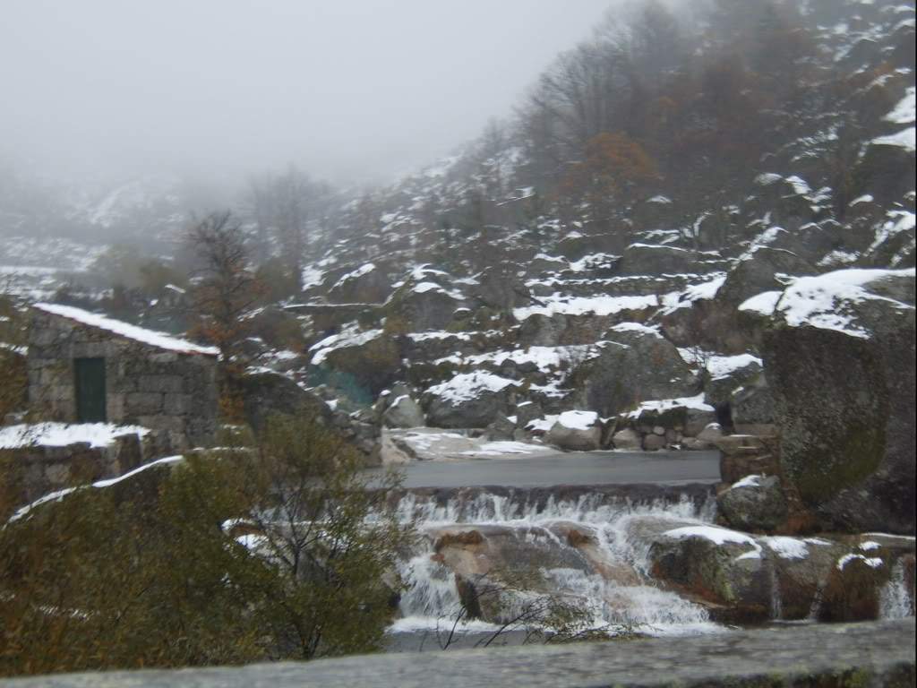 ai498.photobucket.com_albums_rr348_liliana3695_Serra_20da_20Estrela_202008_SV502659.jpg