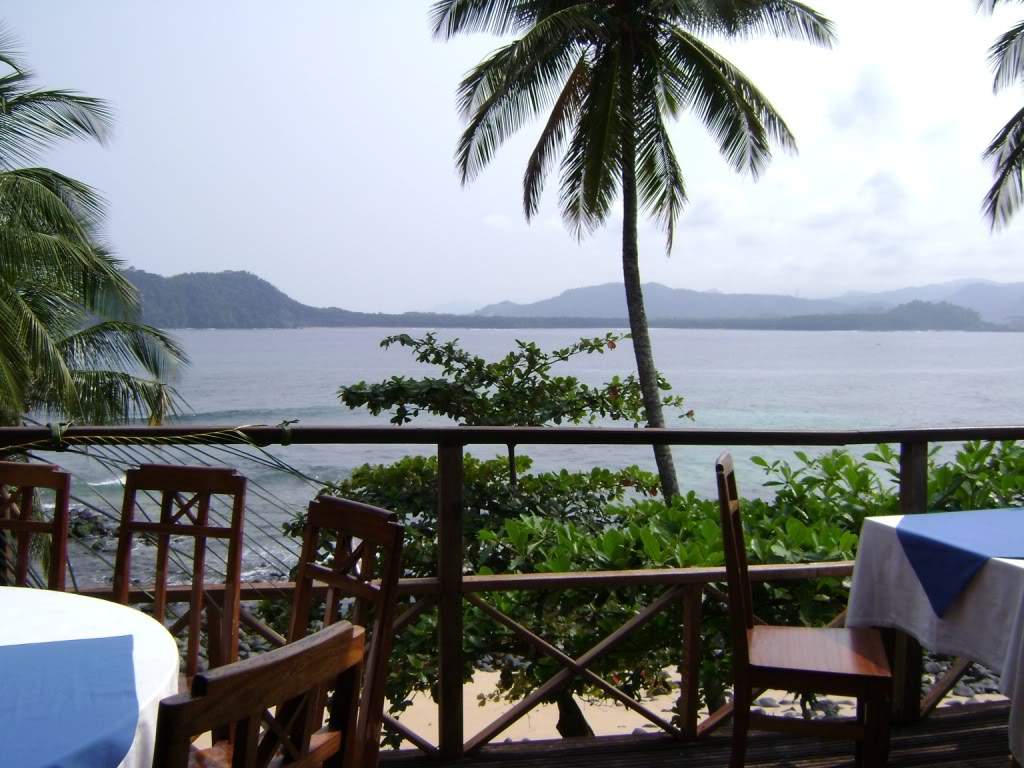 ai523.photobucket.com_albums_w356_claudiogomes_DSC02229.jpg