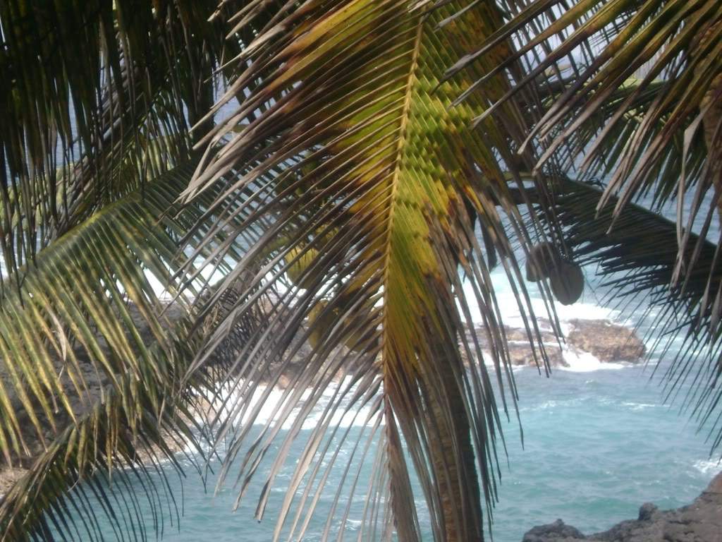 ai523.photobucket.com_albums_w356_claudiogomes_DSC02393.jpg