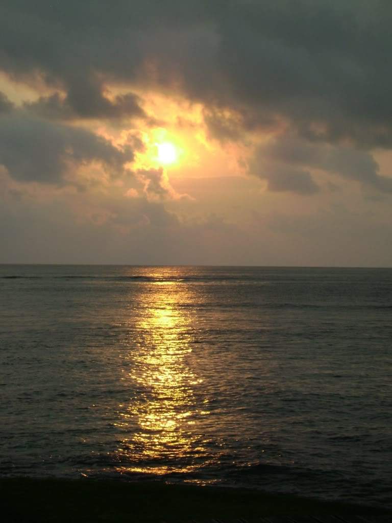 ai523.photobucket.com_albums_w356_claudiogomes_DSC02431.jpg