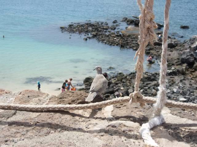 ai528.photobucket.com_albums_dd323_Tuga80_100_0545640x480.jpg