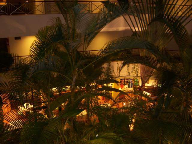ai528.photobucket.com_albums_dd323_Tuga80_100_0967640x480.jpg