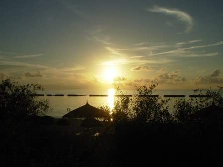 ai544.photobucket.com_albums_hh336_cspereira_DSCN3055.jpg