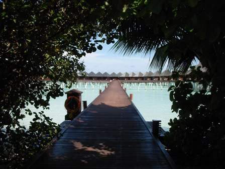 ai544.photobucket.com_albums_hh336_cspereira_DSCN3433.jpg