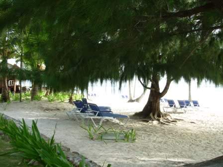 ai544.photobucket.com_albums_hh336_cspereira_Punta_Cana_138.jpg