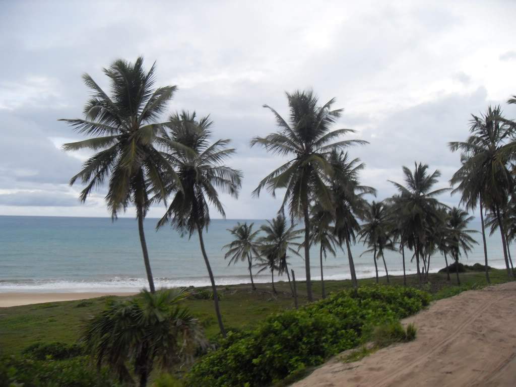 ai556.photobucket.com_albums_ss2_ritatravel_SDC15780.jpg