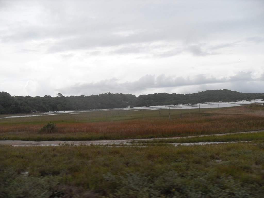 ai556.photobucket.com_albums_ss2_ritatravel_SDC15785.jpg