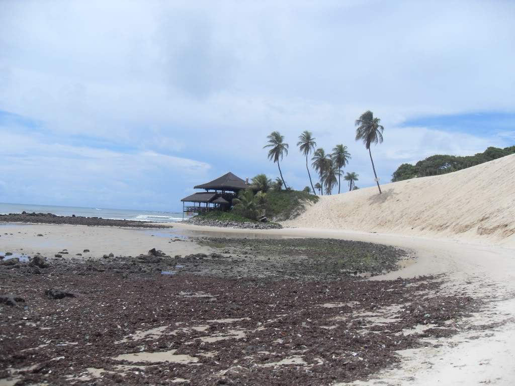 ai556.photobucket.com_albums_ss2_ritatravel_SDC16163.jpg