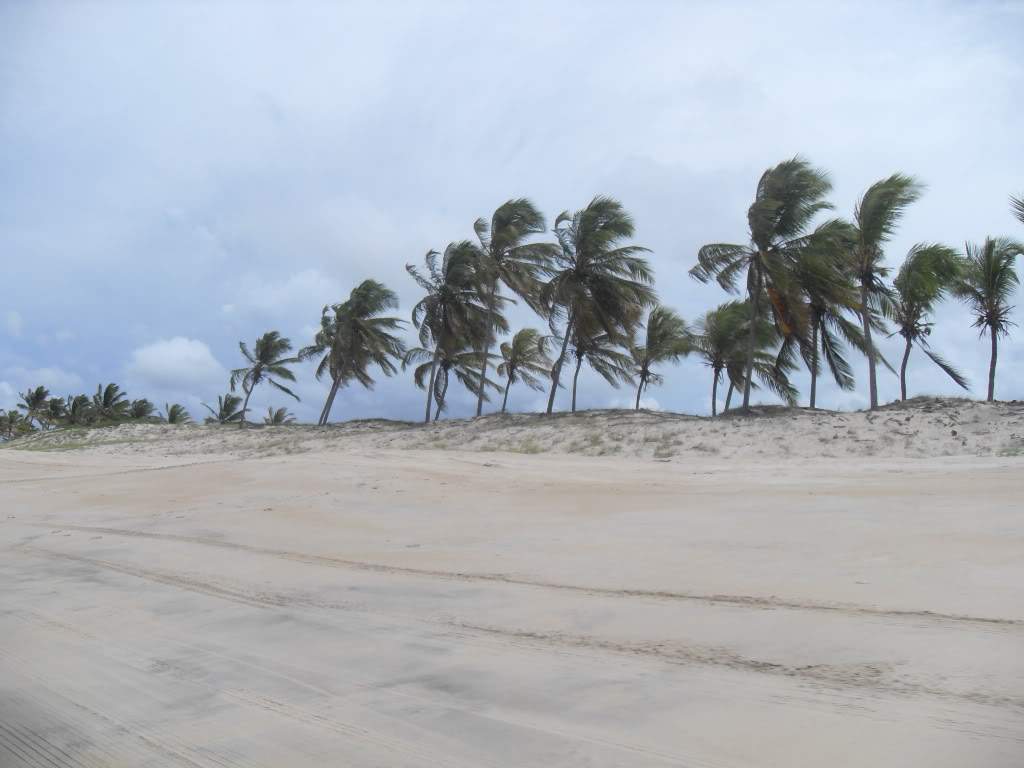 ai556.photobucket.com_albums_ss2_ritatravel_SDC16223.jpg