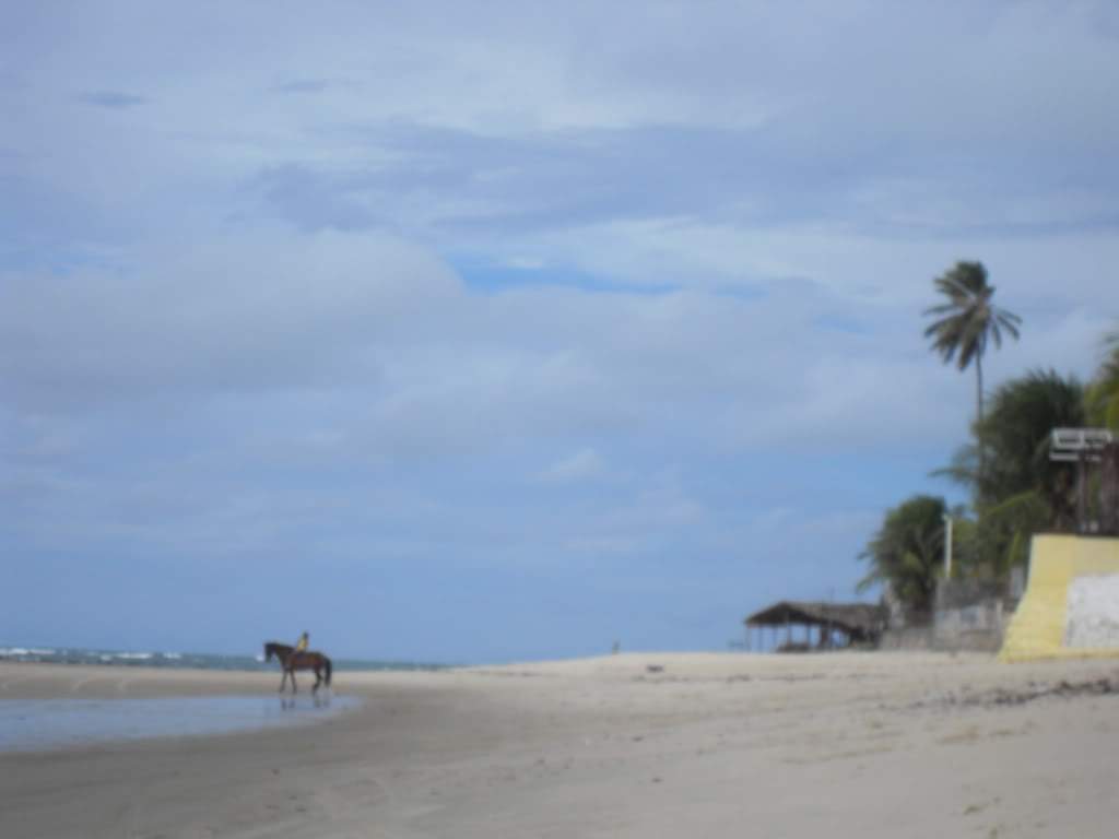 ai556.photobucket.com_albums_ss2_ritatravel_SDC16238.jpg