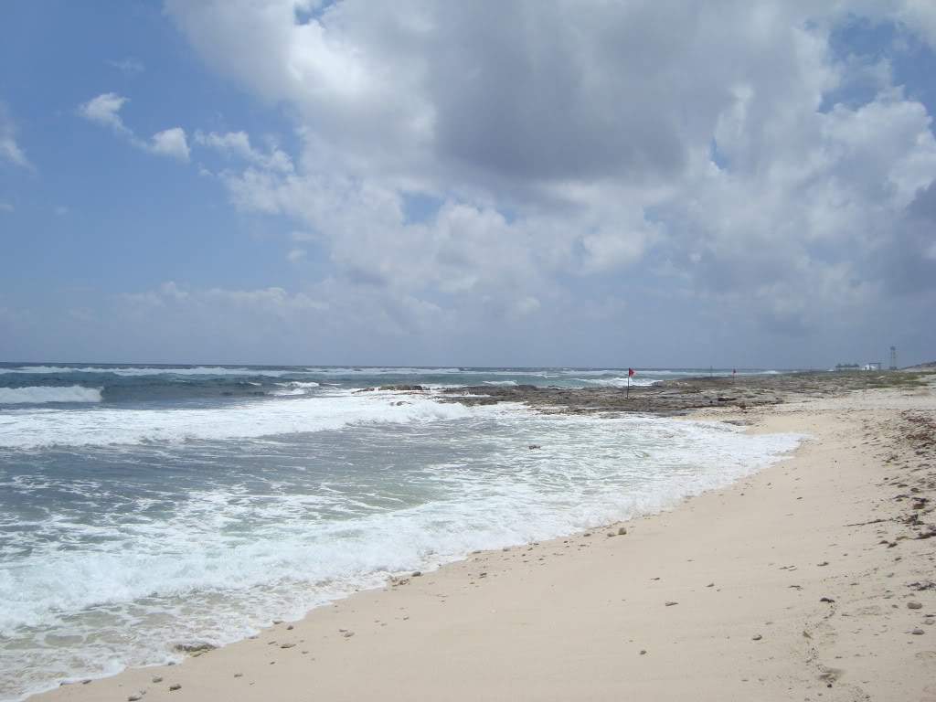 ai563.photobucket.com_albums_ss73_joanas87_DSC01525.jpg