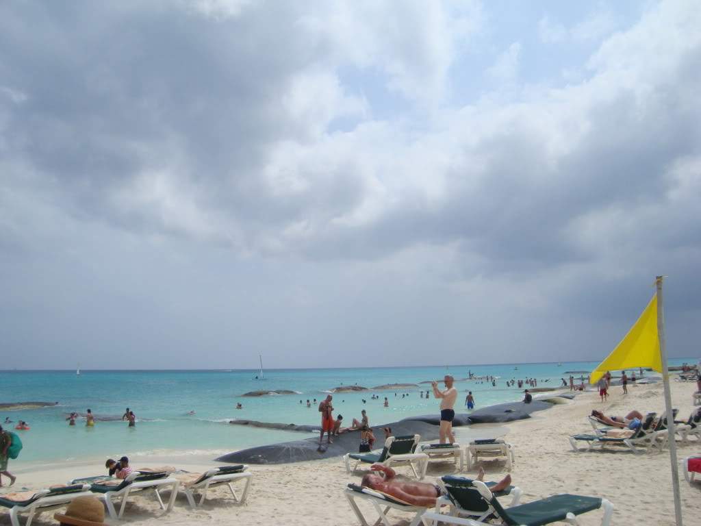 ai563.photobucket.com_albums_ss73_joanas87_DSC01740.jpg