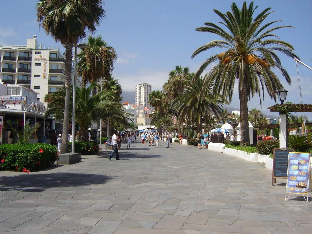 ai565.photobucket.com_albums_ss99_bserra89_DSC01500.jpg_96457e51183de93a1def1c5f03b73c9a.jpg