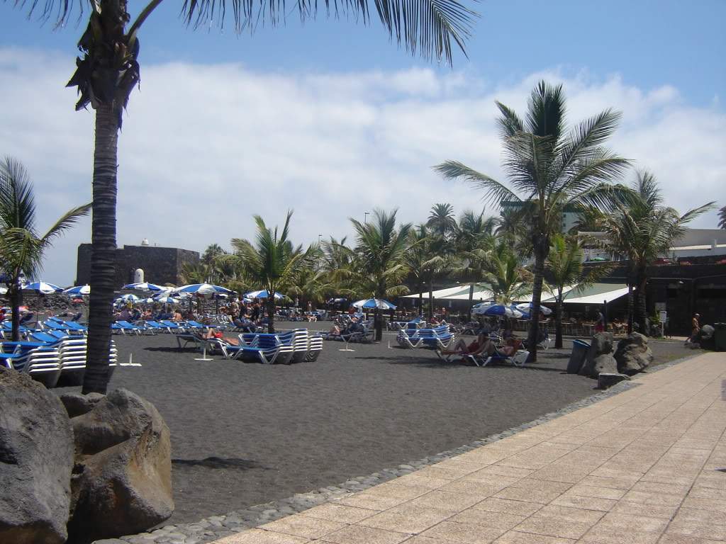 ai565.photobucket.com_albums_ss99_bserra89_DSC01748.jpg_d9426c4c8f4c8b21bbef9d88d6971709.jpg