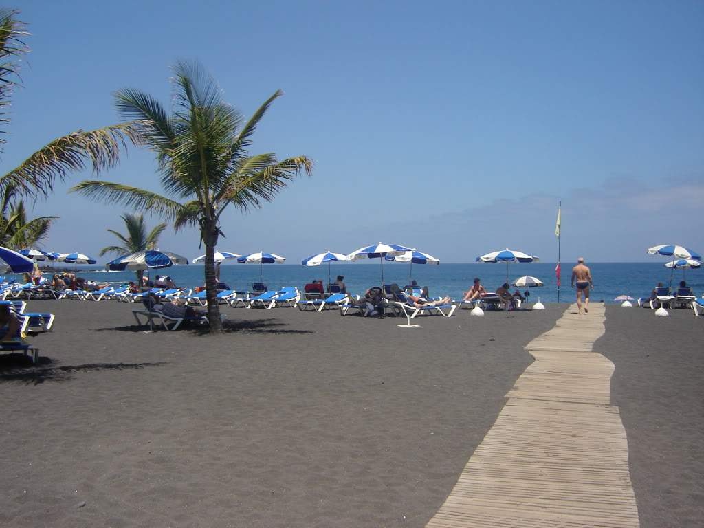 ai565.photobucket.com_albums_ss99_bserra89_DSC01765.jpg_fdd1f738772d21e1f0b77734e25baced.jpg