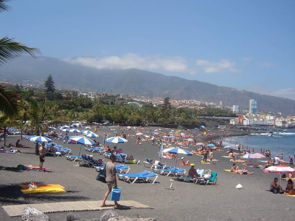 ai565.photobucket.com_albums_ss99_bserra89_DSC01767.jpg_d3f81c72153fcd9bc98a22d123f1342a.jpg