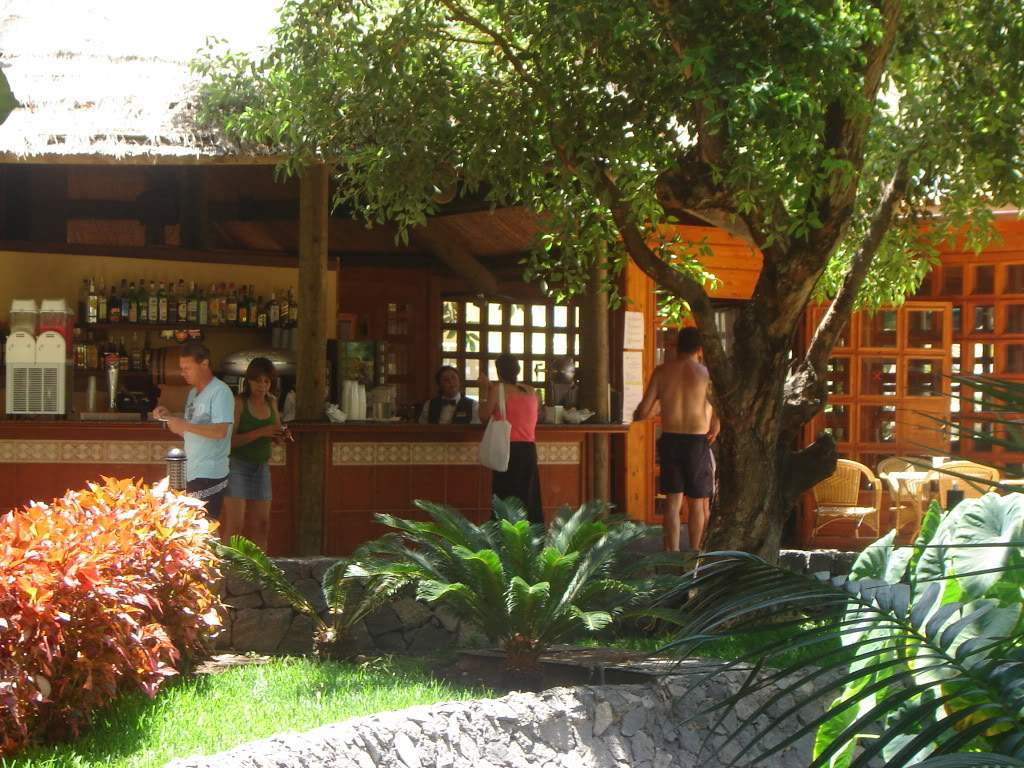 ai565.photobucket.com_albums_ss99_bserra89_DSC01901.jpg_9c64315675c12335e67a5d4772debf09.jpg