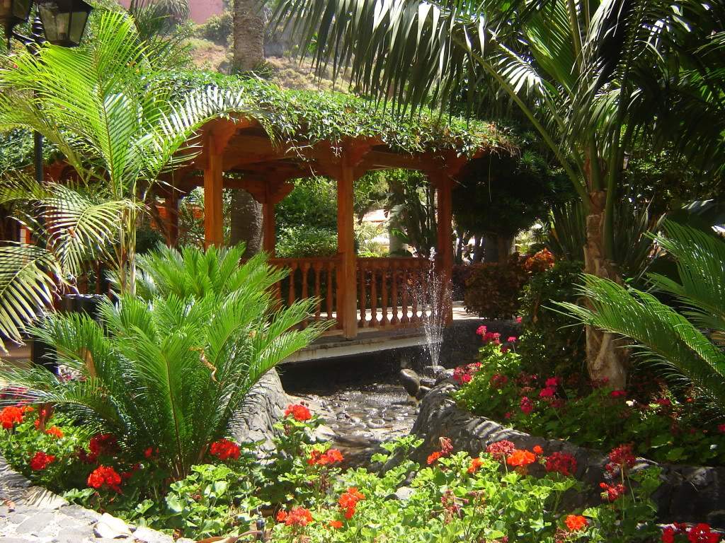 ai565.photobucket.com_albums_ss99_bserra89_DSC01919.jpg_b5fe0eb07a06c7320a0256ca28b0d993.jpg