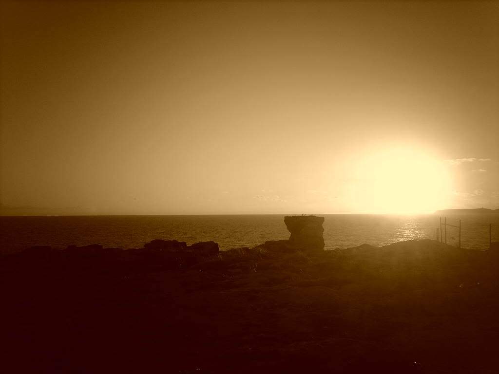 ai565.photobucket.com_albums_ss99_bserra89_IMG_1016.jpg_c5270d5c583d461885688bde7798e088.jpg