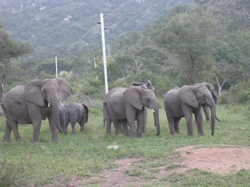 ai570.photobucket.com_albums_ss145_zibbleme_mocambique_IMG_1796.jpg